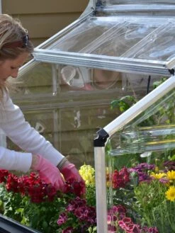 Canopia® By Palram Plant Inn™ Raised Bed Greenhouse, 4' X 4' -Gardening Supplies 8588308 04V tif