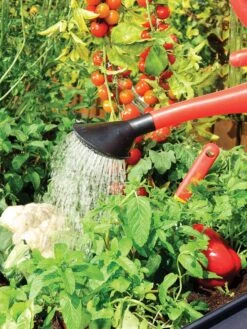 Canopia® By Palram Plant Inn™ Raised Bed Greenhouse, 4' X 4' -Gardening Supplies 8588308 06V tif