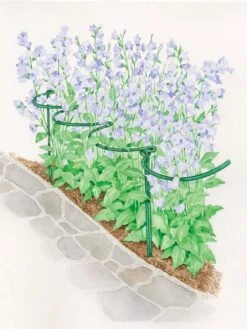 Tidy Path Supports 7 Tidy Path Supports -Gardening Supplies 8588403 003 1