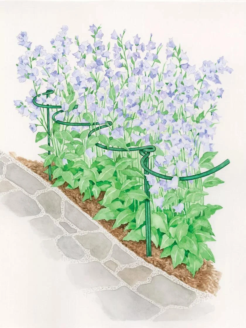 Tidy Path Supports 5 Tidy Path Supports - Image 3