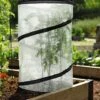 Pop-Up Tomato Accelerator -Gardening Supplies 8589749 4171 pop up tomato plant protector and accelerator tif