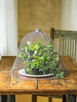 Chicken Wire Cloche -Gardening Supplies 8590210 1 tif