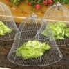 Chicken Wire Cloche 1 Chicken Wire Cloche -Gardening Supplies 8590210 2408 wire cloche colonial tin works tif