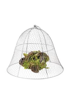 Chicken Wire Cloche -Gardening Supplies 8590210 675 tif