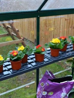 Canopia® By Palram Shelf Kit For Greenhouses, Set Of 2 Shelves -Gardening Supplies 8591033 09V jpg