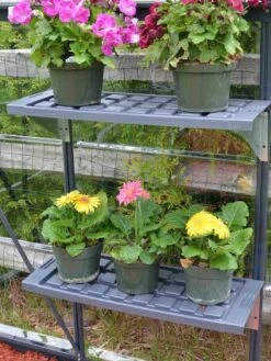 Canopia® By Palram Shelf Kit For Greenhouses, Set Of 2 Shelves -Gardening Supplies 8591033 11V jpg