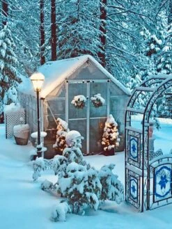 Canopia® By Palram Harmony™ Snap & Grow Greenhouse, 8' 37 Canopia® By Palram Harmony™ Snap & Grow Greenhouse, 8' -Gardening Supplies 8591048 06V jpg