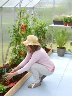 Canopia® By Palram Essence™ Greenhouse, 8' X 12' -Gardening Supplies 8591356 04V tif