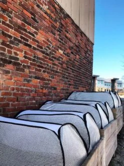 Row Shelter Accelerator -Gardening Supplies 8591990 01IN tif