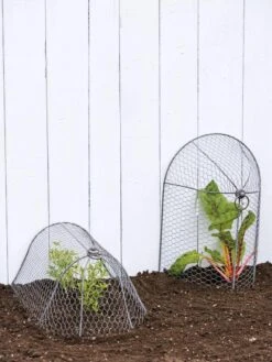 3-in-1 Chicken Wire Cloche -Gardening Supplies 8592117 0188 tif