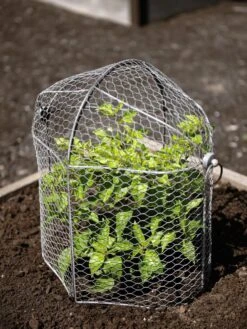 Gardening Supplies -Gardening Supplies 8592117 1465 tif