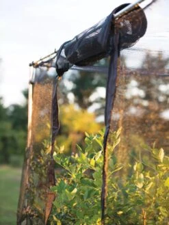 Storm Proof Crop Cage, Large -Gardening Supplies 8592463 115 tif