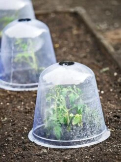 Large Garden Cloches, Set Of 3 -Gardening Supplies 8593984 9432 tif