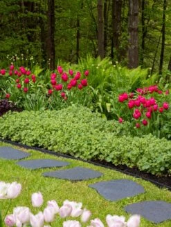 Recycled Rubber Flagstone Stepping Stone -Gardening Supplies 8594282 518 tif