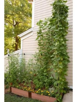 Stack & Extend Veggie Wall 9 Stack & Extend Veggie Wall -Gardening Supplies 8595683 07V 3 4