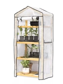 VegTrug® Patio Greenhouse -Gardening Supplies 8595803 7136 tif