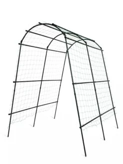Titan Squash Tunnel -Gardening Supplies 8596276 3992 tif
