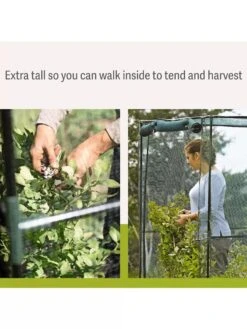 Crop Cage, 4' X 8' -Gardening Supplies 8596539 3