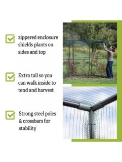 Crop Cage, 4' X 12' -Gardening Supplies 8596540 4