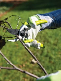 Gardener's Pro Pruner #2 -Gardening Supplies 8596605 032 tif