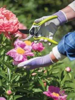 Gardener's Pro Pruner #2 -Gardening Supplies 8596605 1261 tif