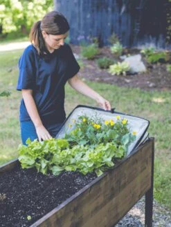 Pop-Up Crop Protector -Gardening Supplies 8596763 EasyCropProtector gif