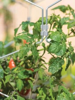 Gardener's Vertex Lifetime Tomato Cage -Gardening Supplies 8598426 0011 tif