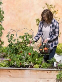 Gardener's Vertex Lifetime Tomato Cage -Gardening Supplies 8598426 0026 tif