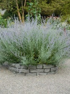 Rock Lock Interlocking Garden System, Curved Sets -Gardening Supplies 8598737 04V tif