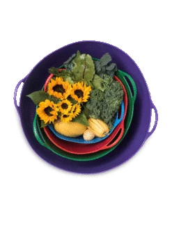 Colorful Tubtrug, 3-1/2 Gallon -Gardening Supplies 8599088 20GalTubTrug gif 1