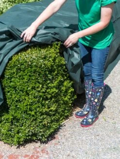 The Planket® Frost Protection Plant Cover, 10' X 20' -Gardening Supplies 8599101 0929 tif