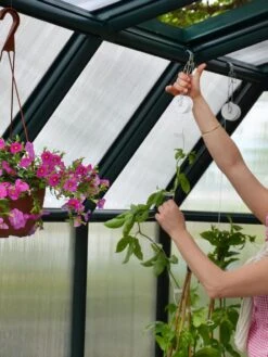 Canopia® By Palram Hobby Gardener Greenhouse, 8' -Gardening Supplies 8599331 04V tif