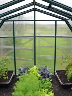 Canopia® By Palram Hobby Gardener Greenhouse, 8' -Gardening Supplies 8599331 05V tif