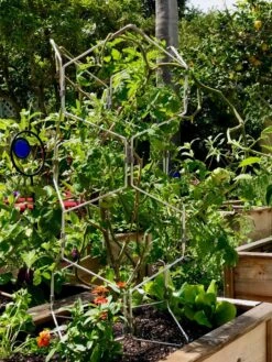 Gardener's Vertex Lifetime Pepper And Eggplant Cage -Gardening Supplies 8599554 01CUST tif