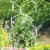 Gardener's Vertex Lifetime Pepper And Eggplant Cage -Gardening Supplies 8599554 3000 tif