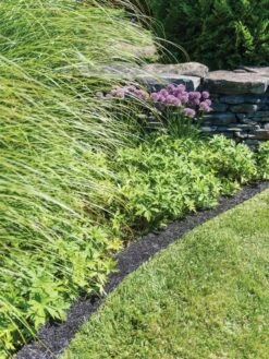 Recycled Rubber Mulch Edging, 12’ X 6” -Gardening Supplies 8599854 0897 tif