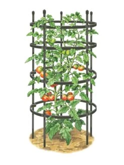 Titan Tomato Cages, Set Of 3 -Gardening Supplies 8599861 0001 art tif