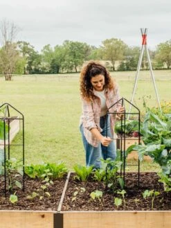 Zenith Folding Garden Supports, Set Of 2 -Gardening Supplies 8600073 324 tif