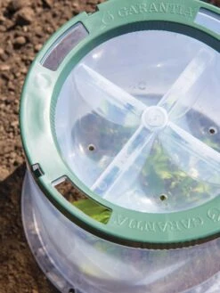 Sunny Forcing Cloches, Set Of 3 -Gardening Supplies 8600075 0742 tif