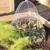 Chicken Wire Cloche With Extension -Gardening Supplies 8600116 0482 tif