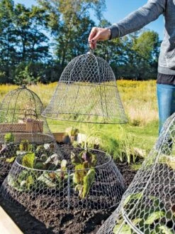 Chicken Wire Cloche With Extension -Gardening Supplies 8600116 0604 3 4