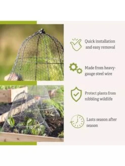 Chicken Wire Cloche With Extension -Gardening Supplies 8600116 3
