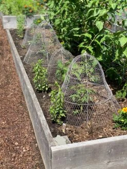 Chicken Wire Cloche With Extension -Gardening Supplies 8600116 4930 tif