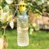Bottle Insect Traps, Set Of 6 1 Bottle Insect Traps, Set Of 6 -Gardening Supplies 8600119 0532 tif