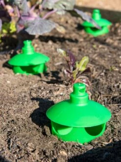 Slug And Snail Traps, Set Of 3 -Gardening Supplies 8600120 1788