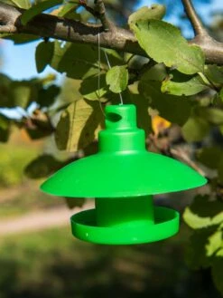 Slug And Snail Traps, Set Of 3 -Gardening Supplies 8600120 1792