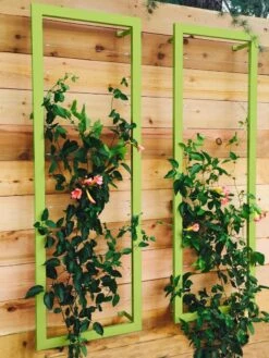 Ina Modern Wall Trellis Sr. -Gardening Supplies 8600510 01V tif