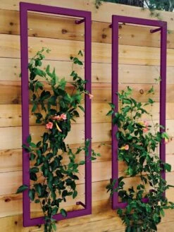 Ina Modern Wall Trellis Sr. -Gardening Supplies 8600510 02V tif