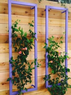 Ina Modern Wall Trellis Sr. -Gardening Supplies 8600510 07V tif