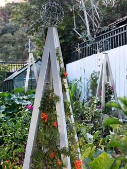 Akoris Garden Tuteur Jr. -Gardening Supplies 8600517 07V tif